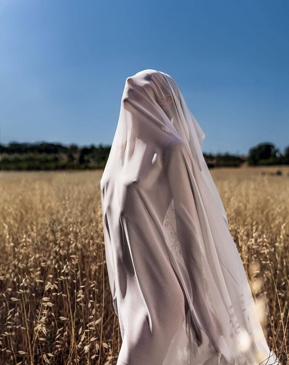 Фотография #10731681