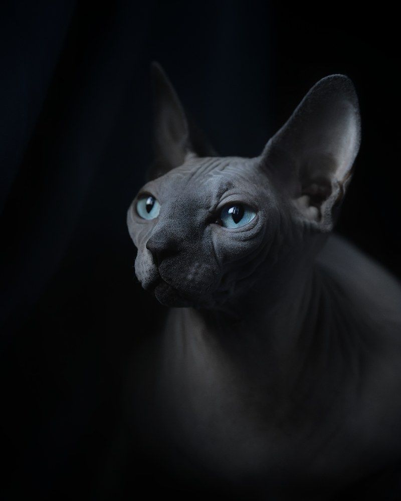 Photograph by Ирина Воробьева