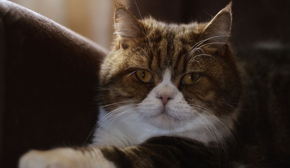 Photograph by Алексей Парамонов