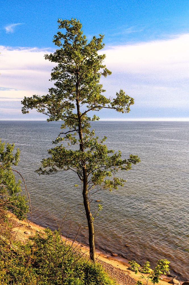 Photograph by Леонид Соболев