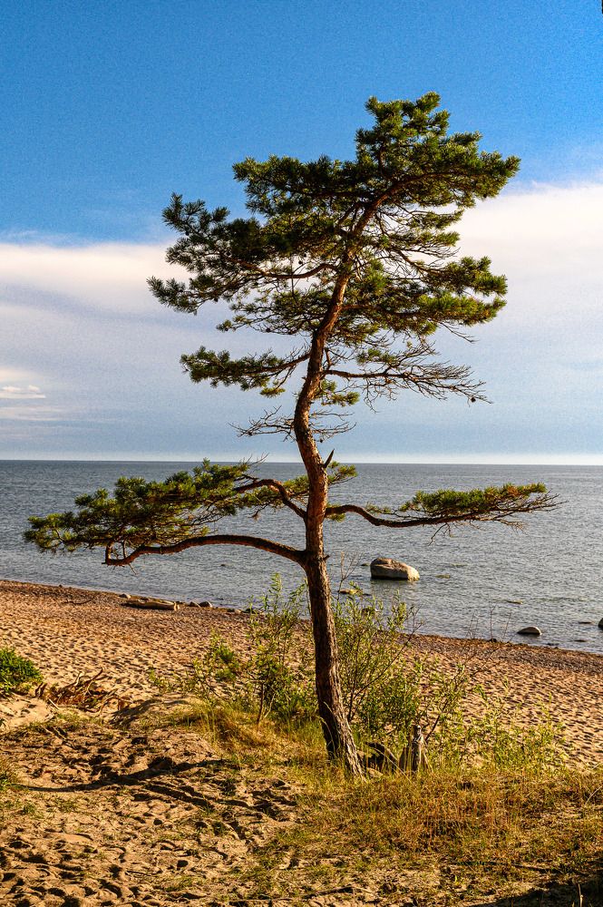 Photograph by Леонид Соболев