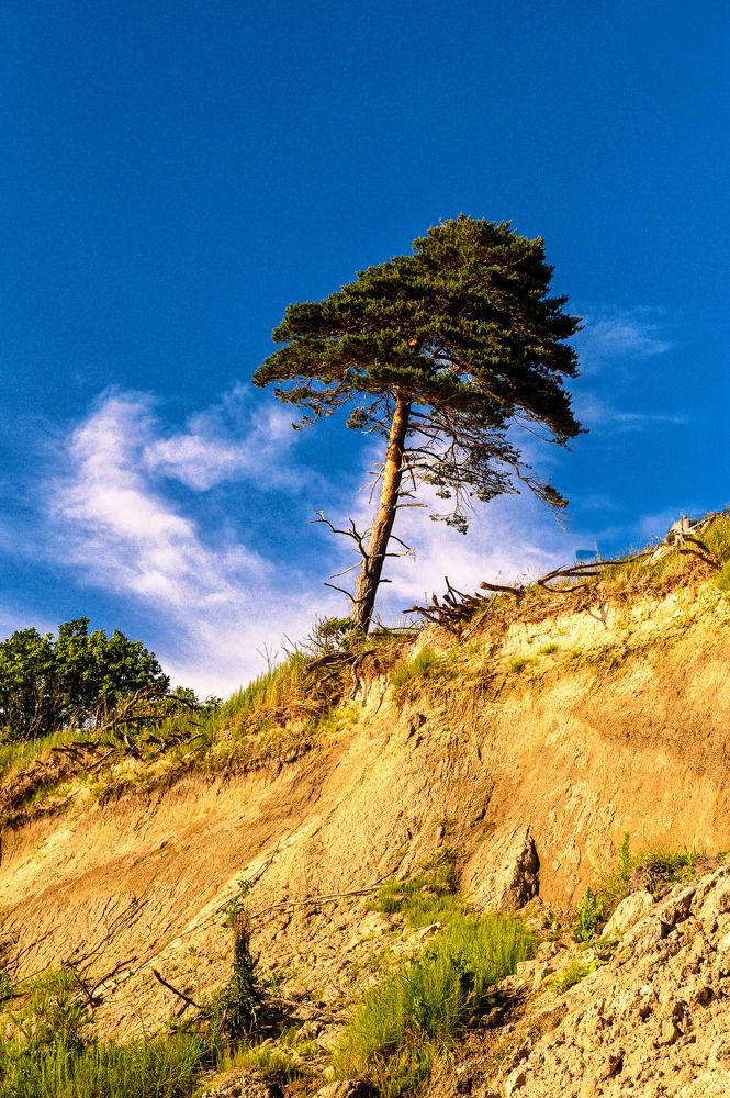 Фотография автора Леонид Соболев