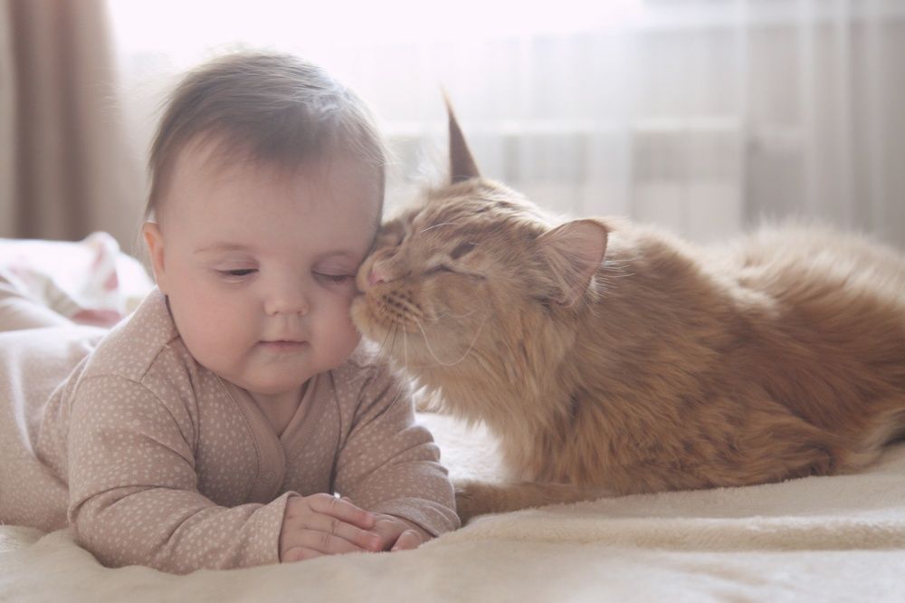 Фотография автора Алина Климова