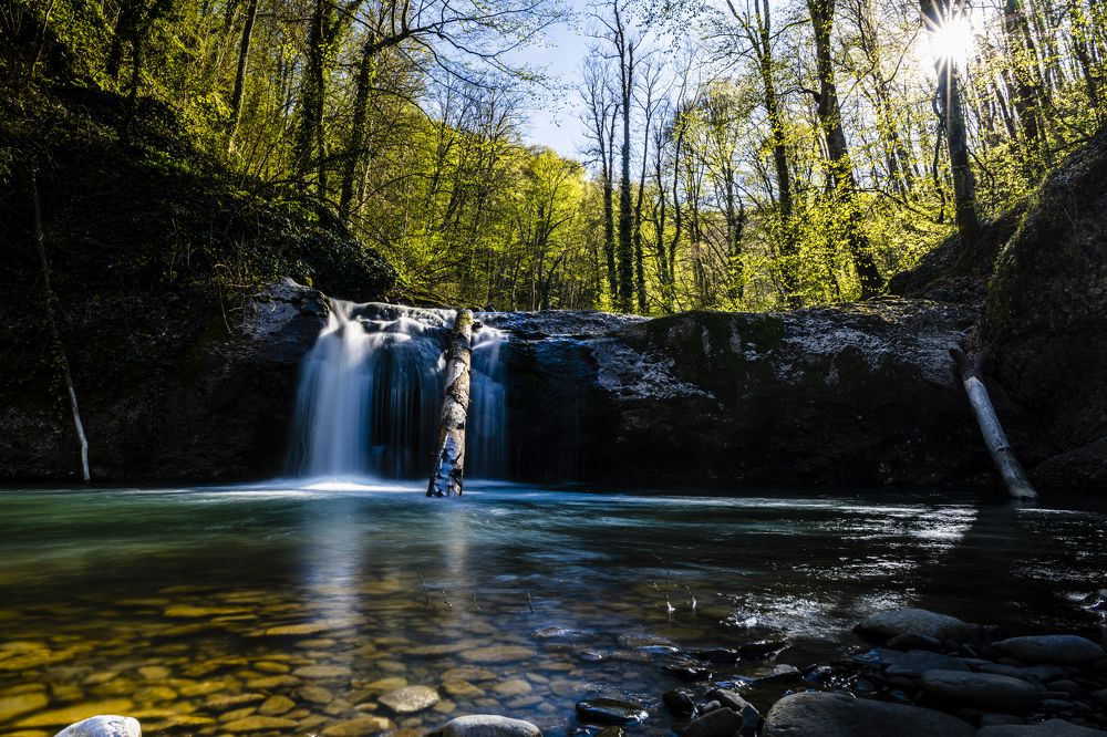 Фотография автора Константин Борунов