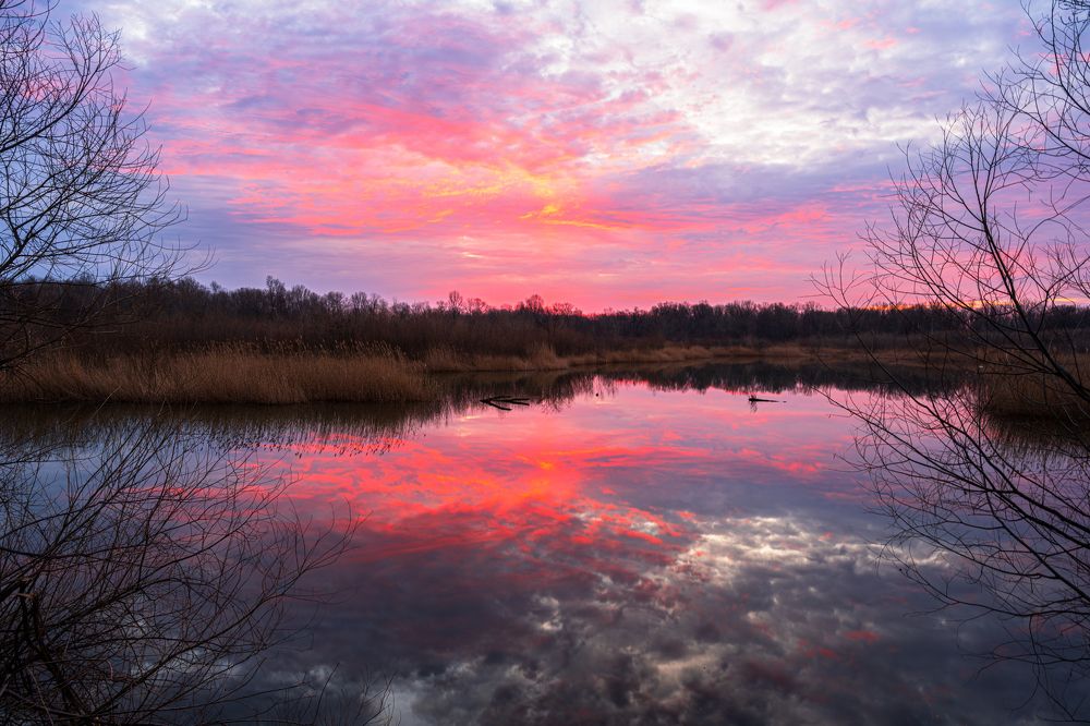Фотография автора Константин Борунов