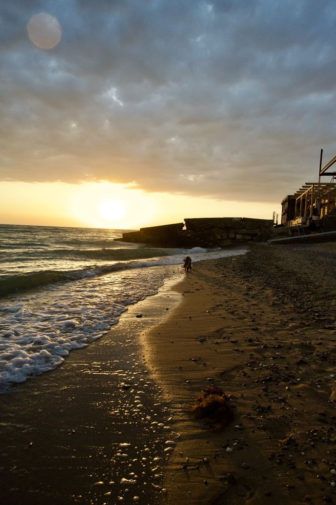 Фотография автора Константин Борунов