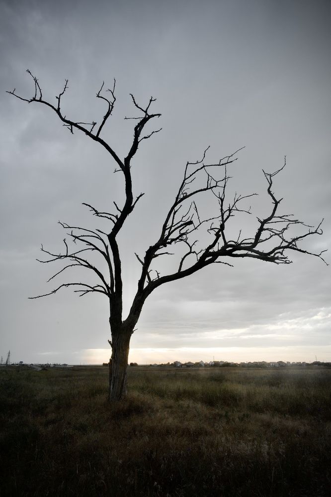 Фотография автора Константин Борунов