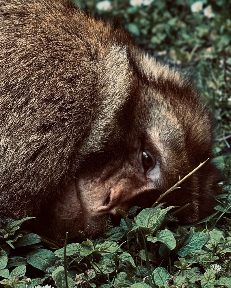 Photograph by daria eipert