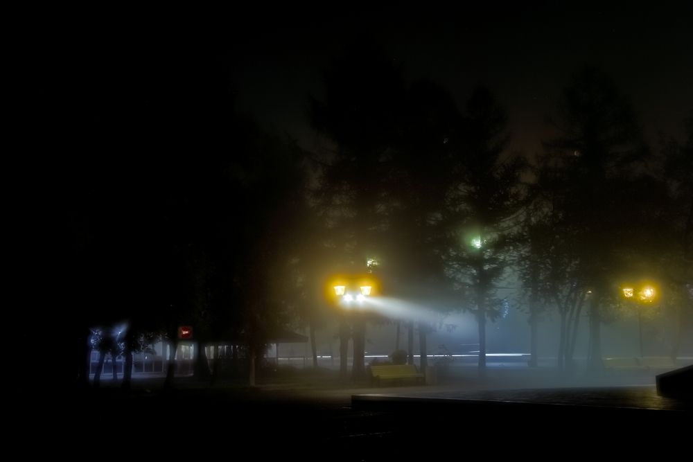 В голове моей туманы!