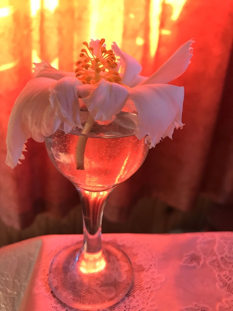 Photograph by Надежда Ткаченко