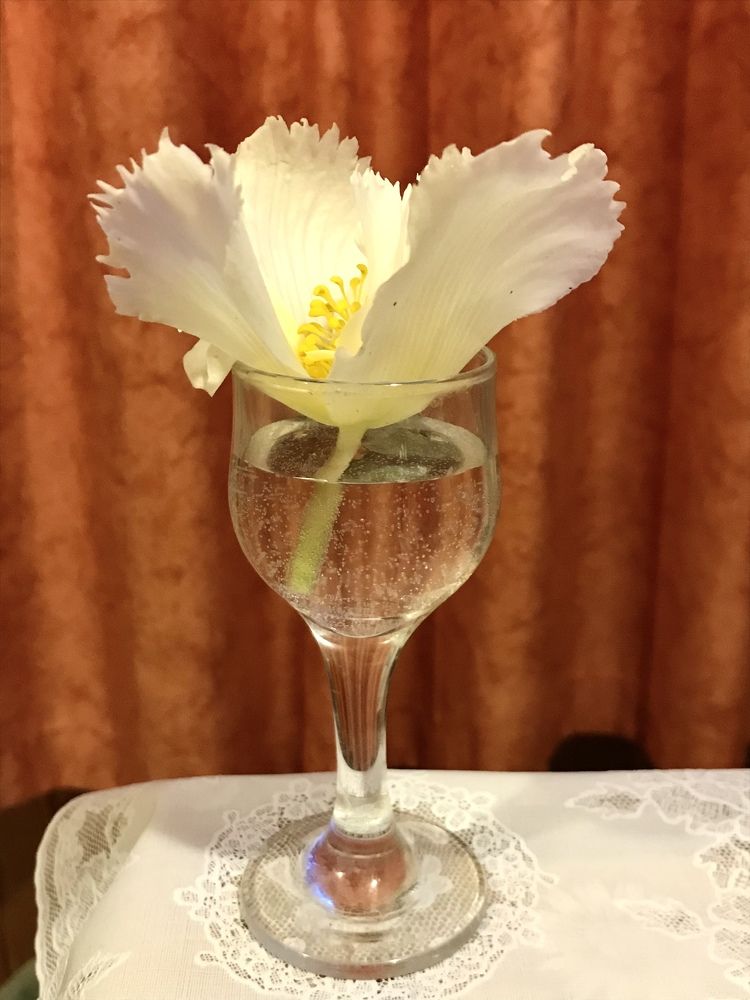 Photograph by Надежда Ткаченко