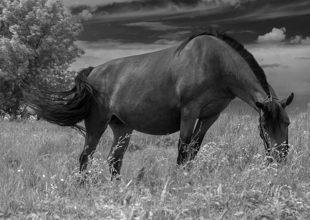 Фотография автора Владимир