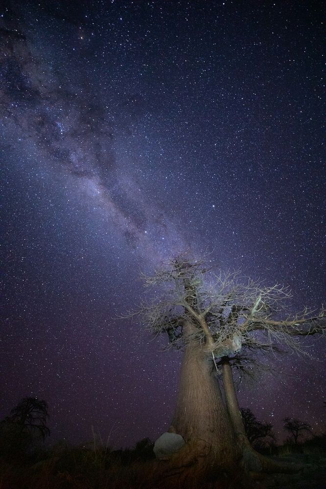 Фотография автора Boris Konovalov