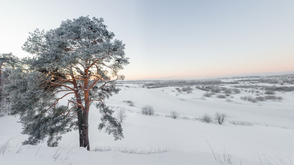 Фотография автора Boris Konovalov