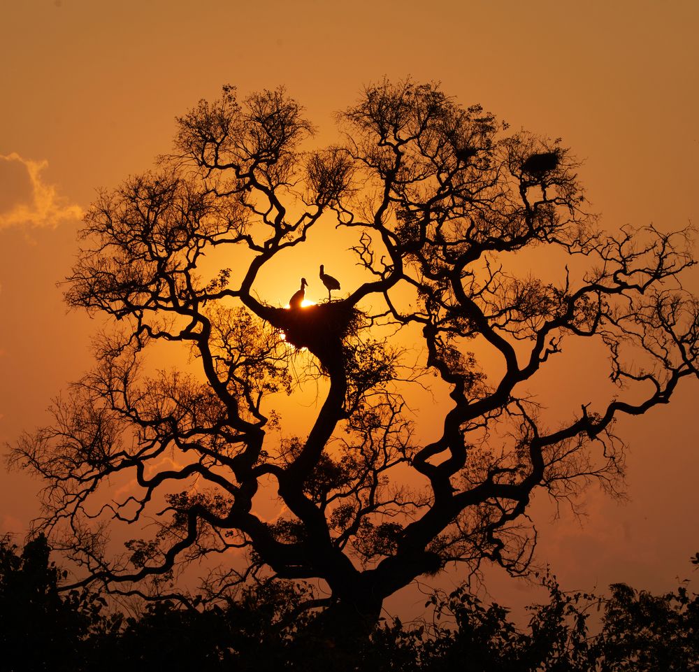 Photograph by Boris Konovalov