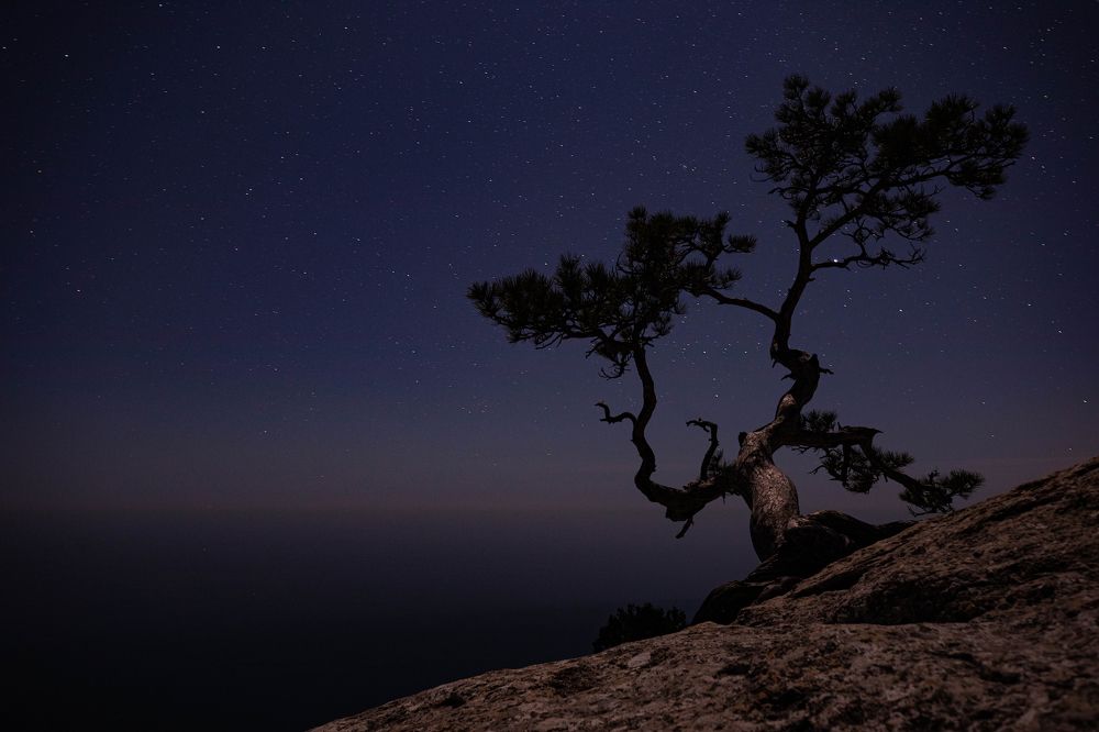 Фотография автора Boris Konovalov