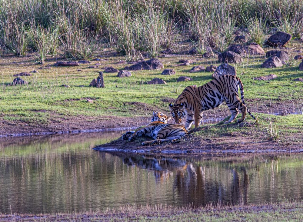 Фотография автора Subir Ghosh