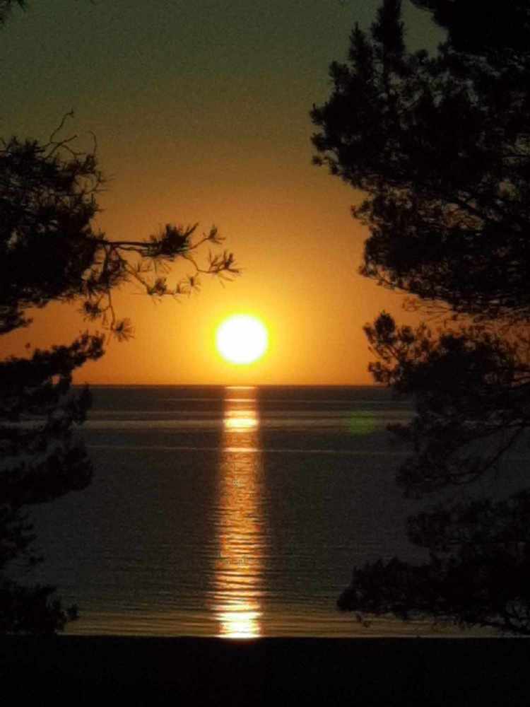 Photograph by Инна Савичева