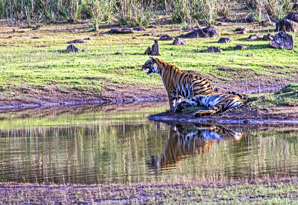 Фотография автора Subir Ghosh