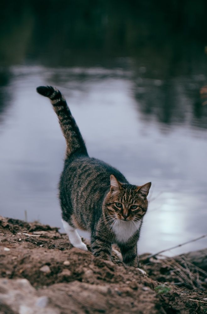 Photograph by Алексей Коровин