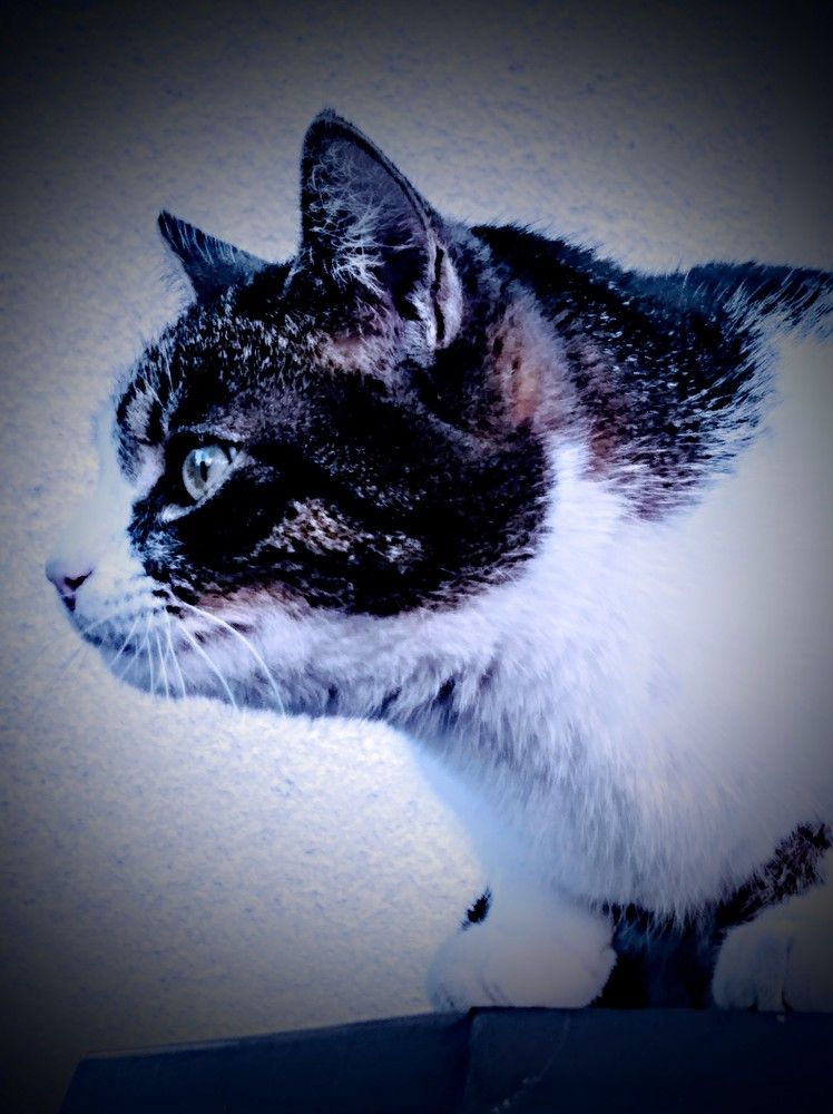 Фотография автора Jindřiška Kučerová