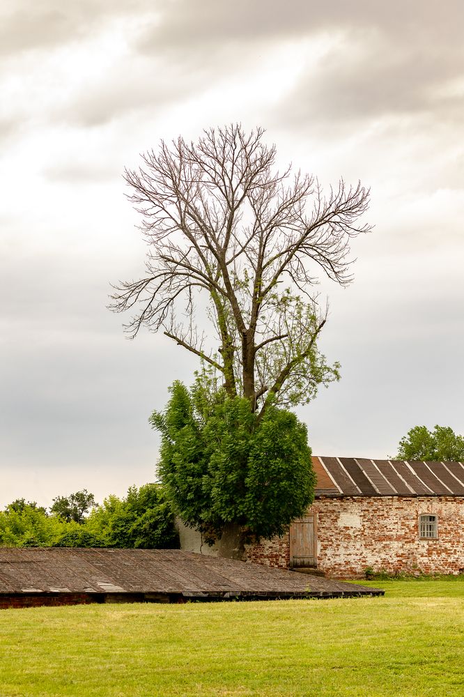 Photograph by Алексей Епишкин