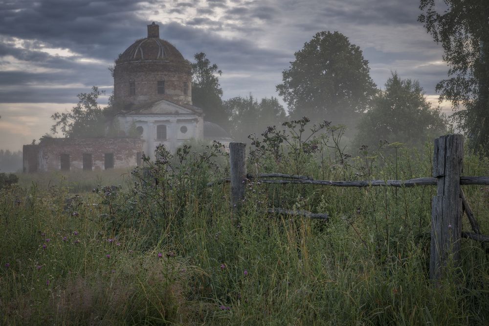 Photograph by Гусева Елена