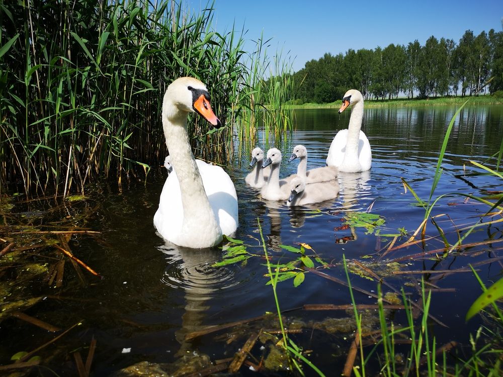 Photograph by Дмитрий Руднов