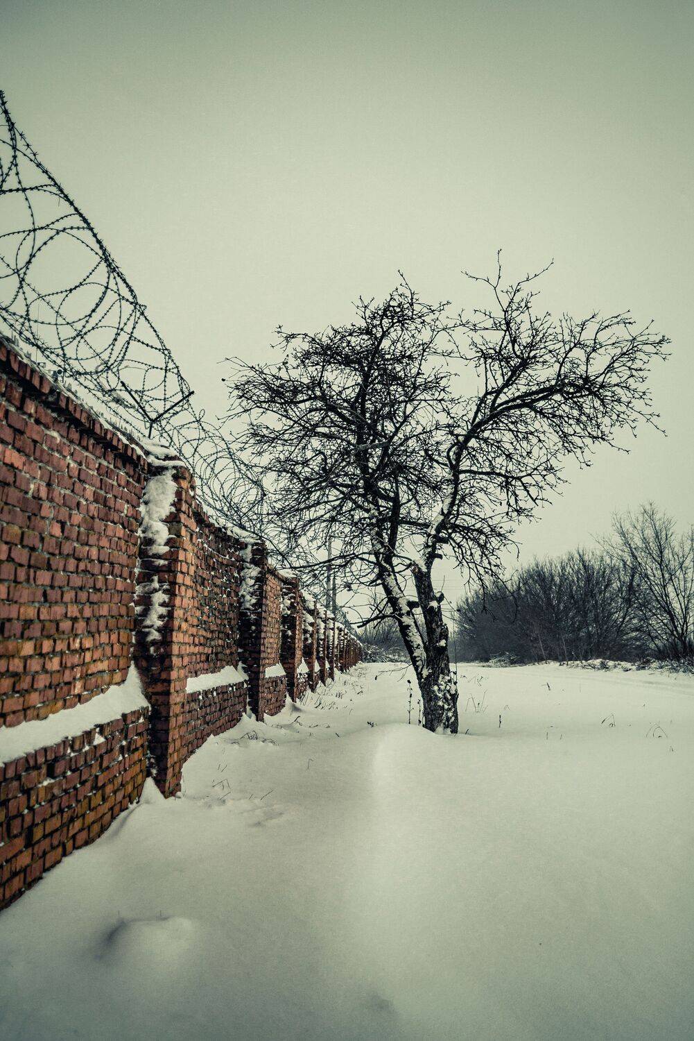 Photo #10732054