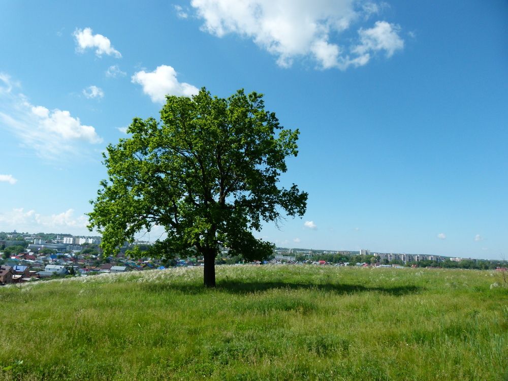 Photograph by Александр Кизим