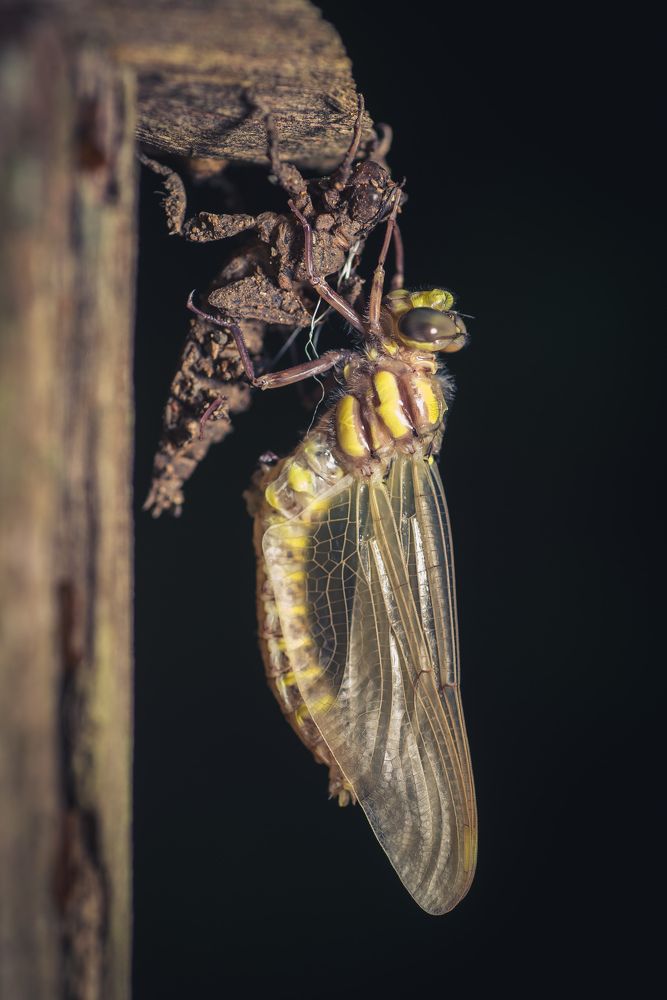 Photograph by Filip Eremita