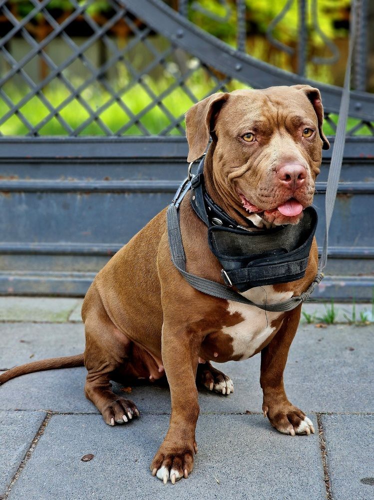 Фотография автора Maryna Pytliak