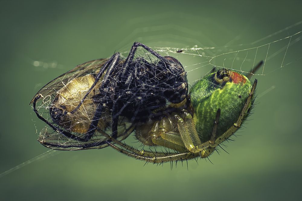 Photograph by Filip Eremita