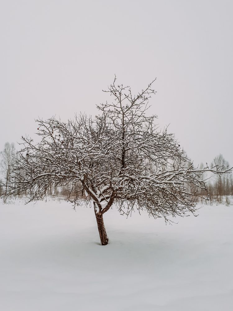 Photograph by Алиса Чугунова