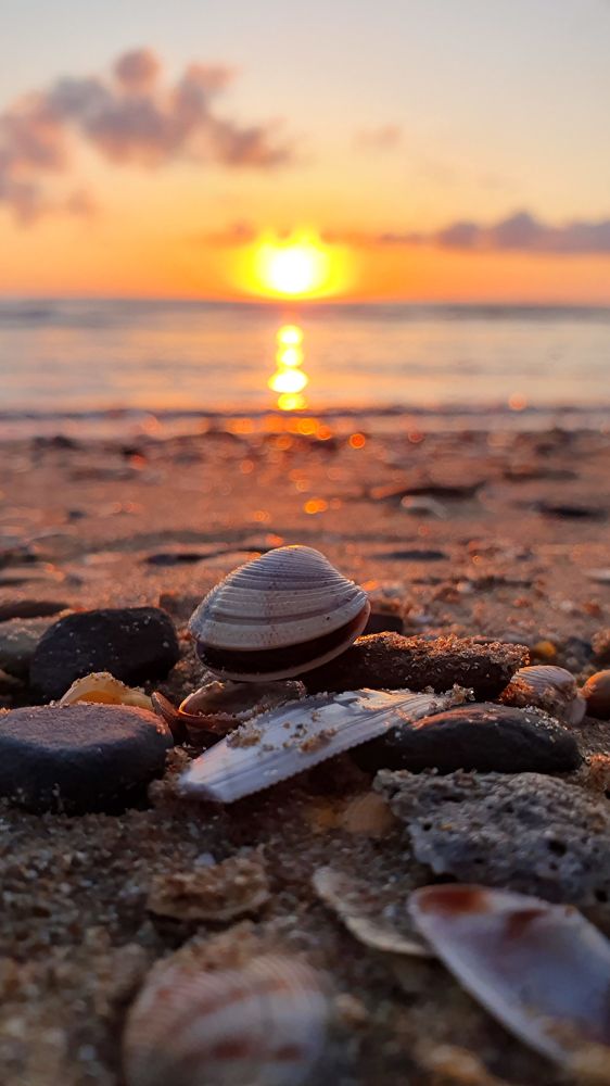 Photograph by Кристина Дугина