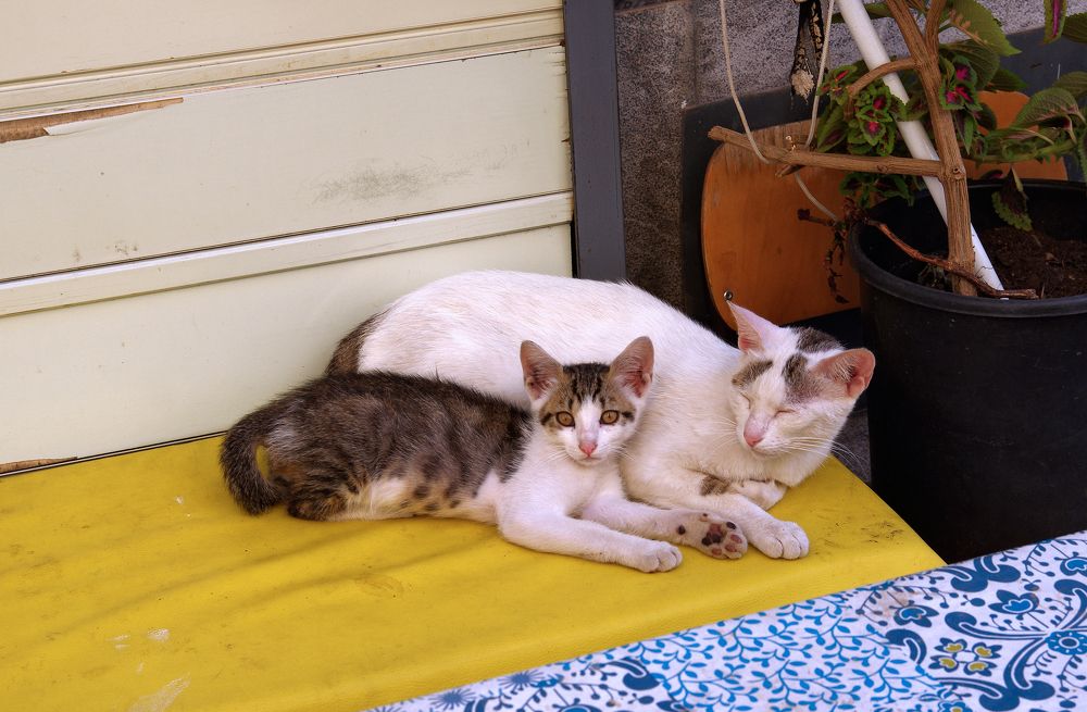 Photograph by Lothar Boris Piltz