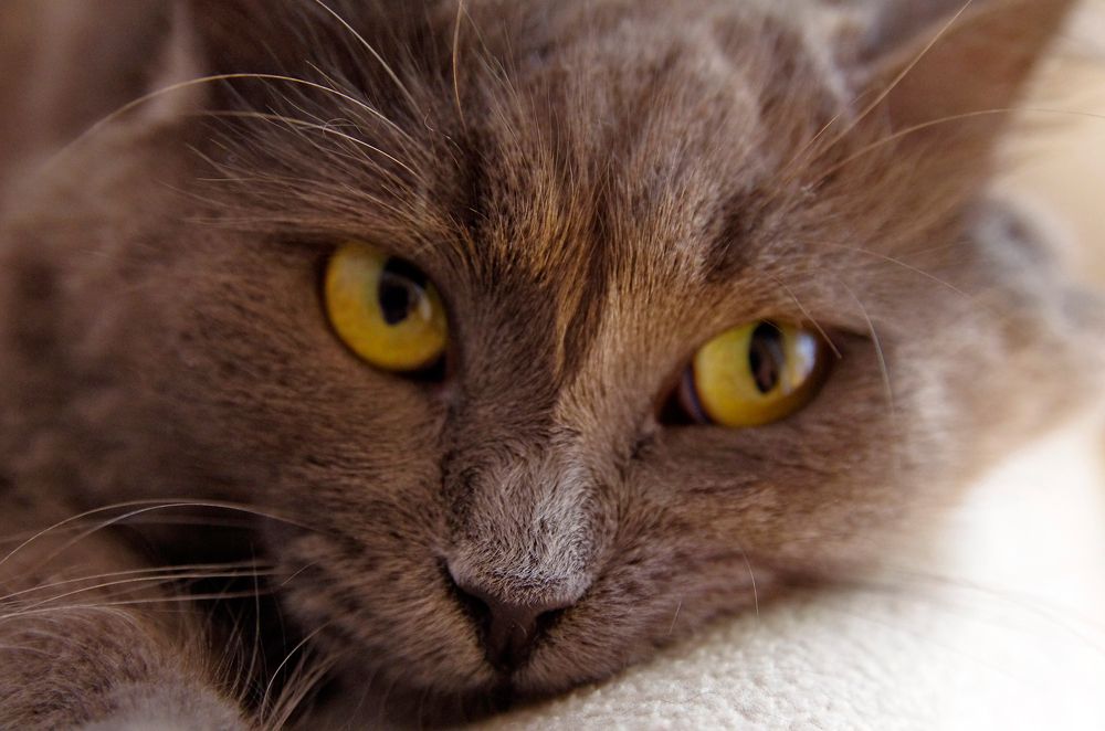 Photograph by Lothar Boris Piltz