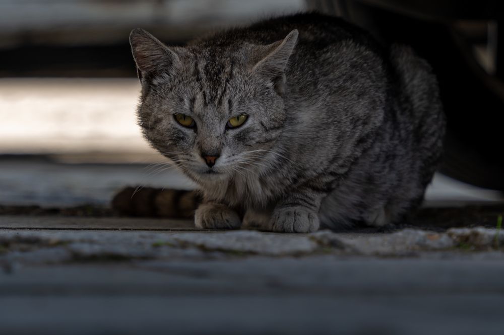 Photograph by Anton Leonchikov