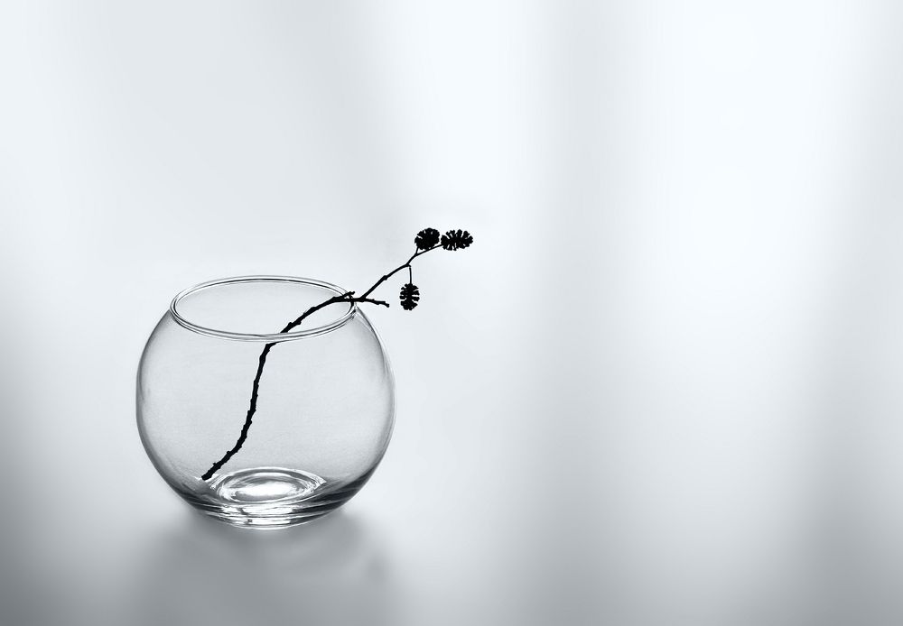 Photograph by Заболотская Ольга