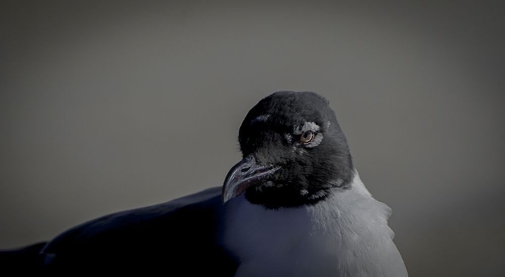 Photograph by Ethan Williams