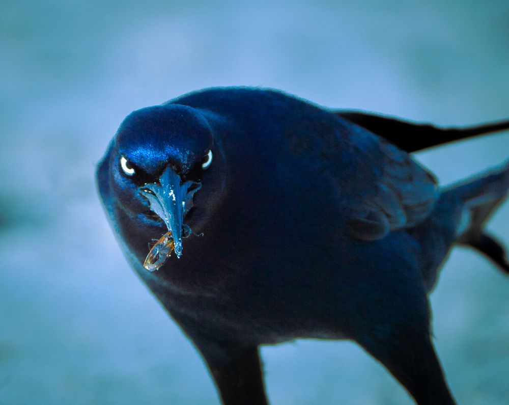 Photograph by Ethan Williams