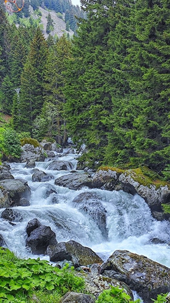 Photograph by Айдын Мехтиев