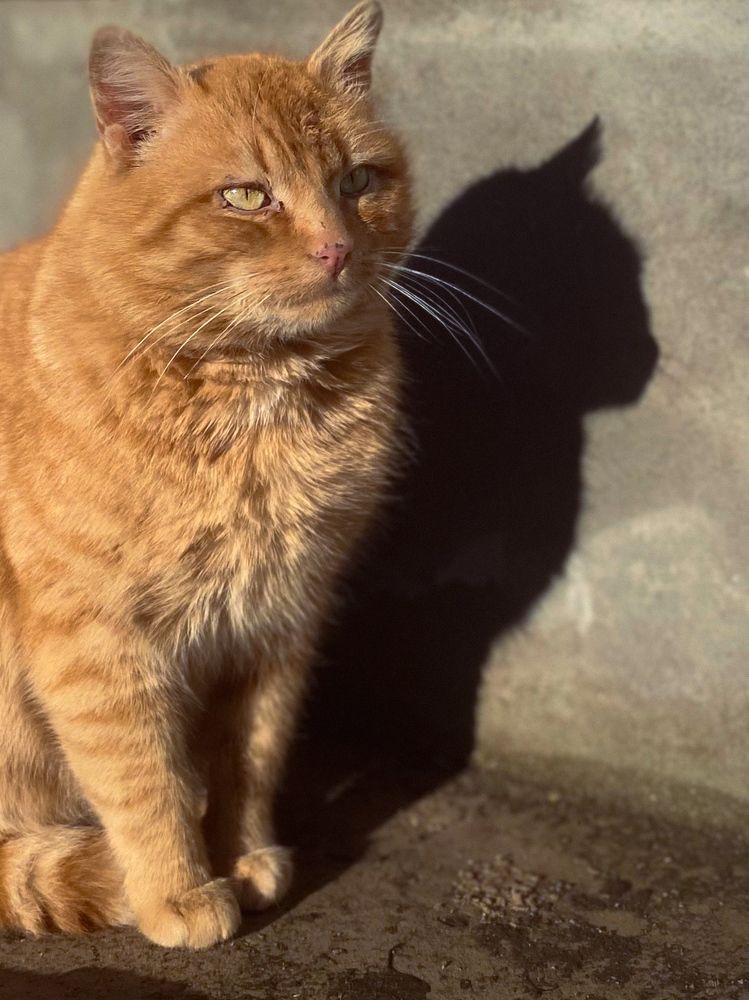 Фотография автора Ирина