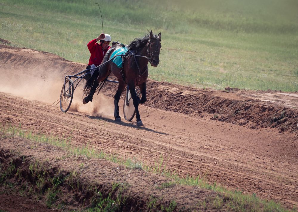 Photograph by Тамара Вотинцева