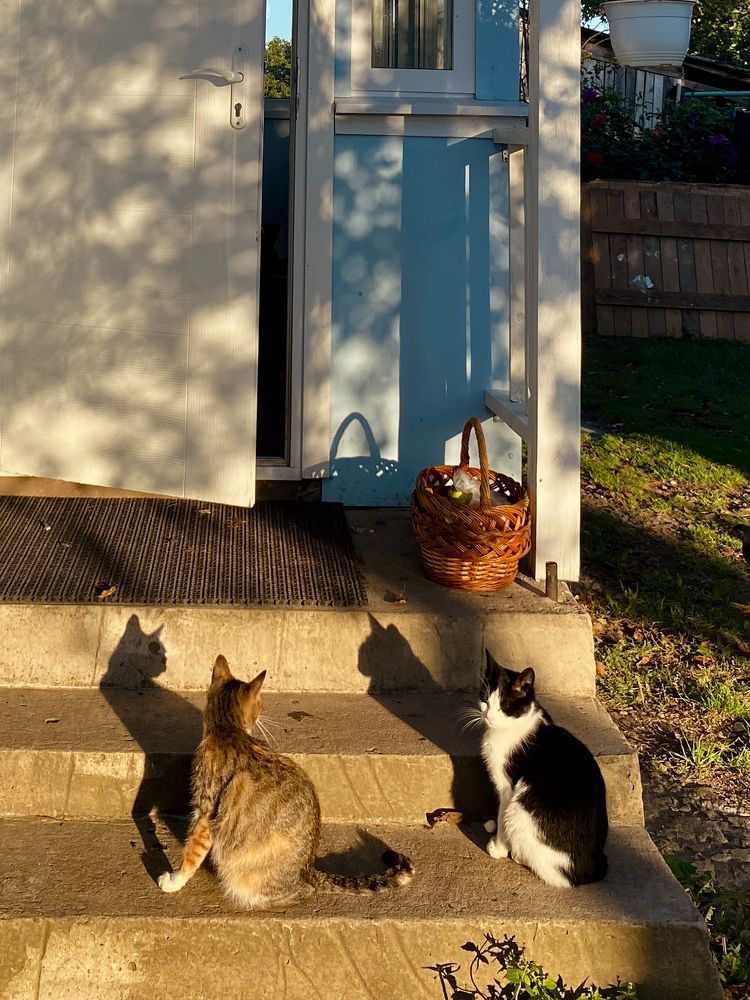 Фотография автора Ирина