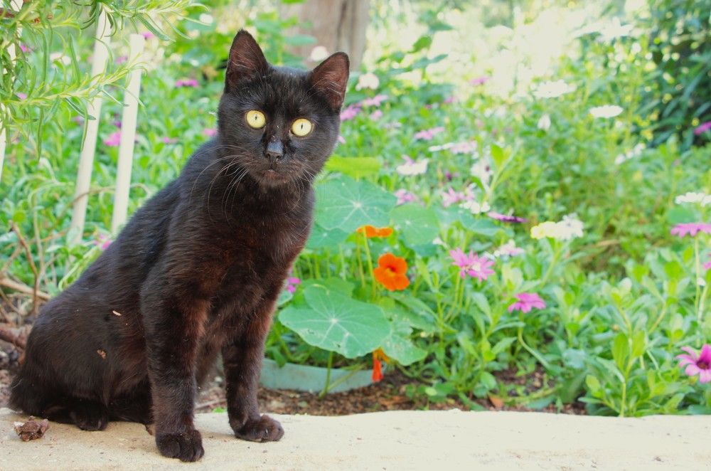 Photograph by Людмила Бутова