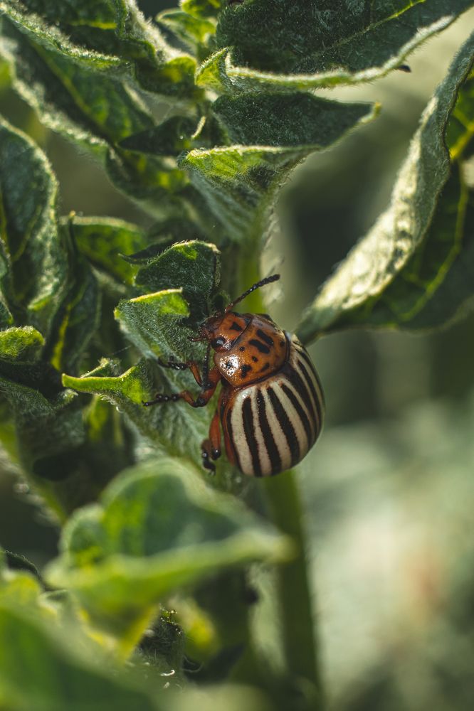 Photograph by Алексей Медведев