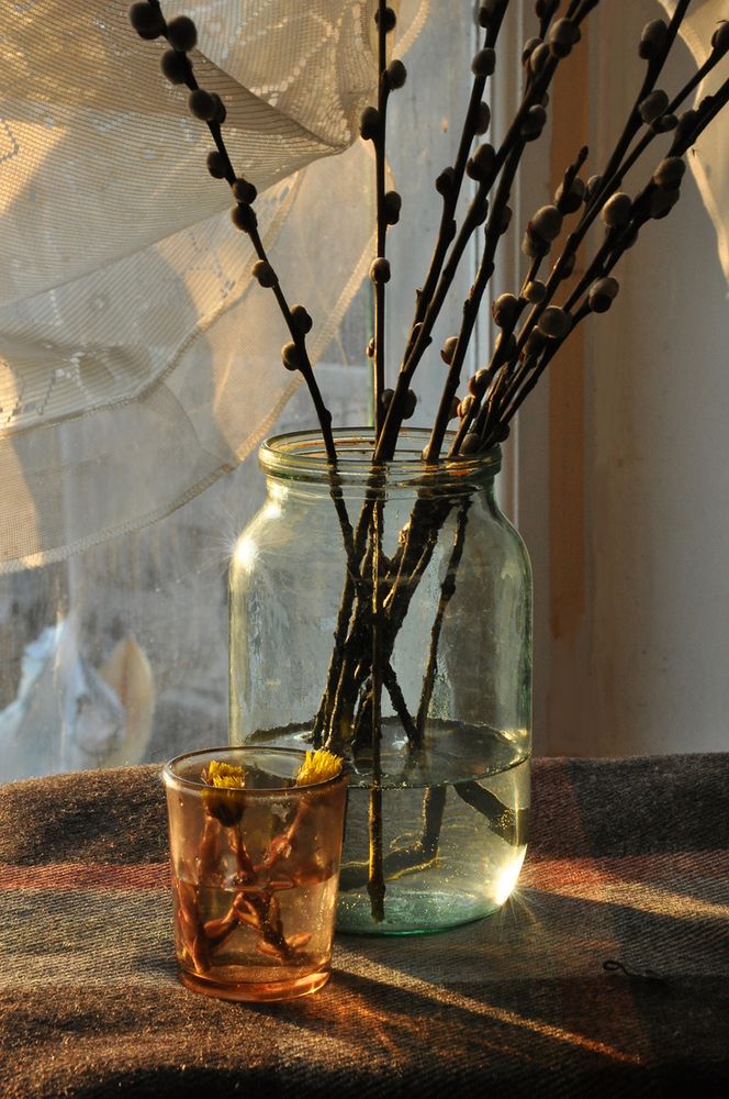 Photograph by Олег Радионов