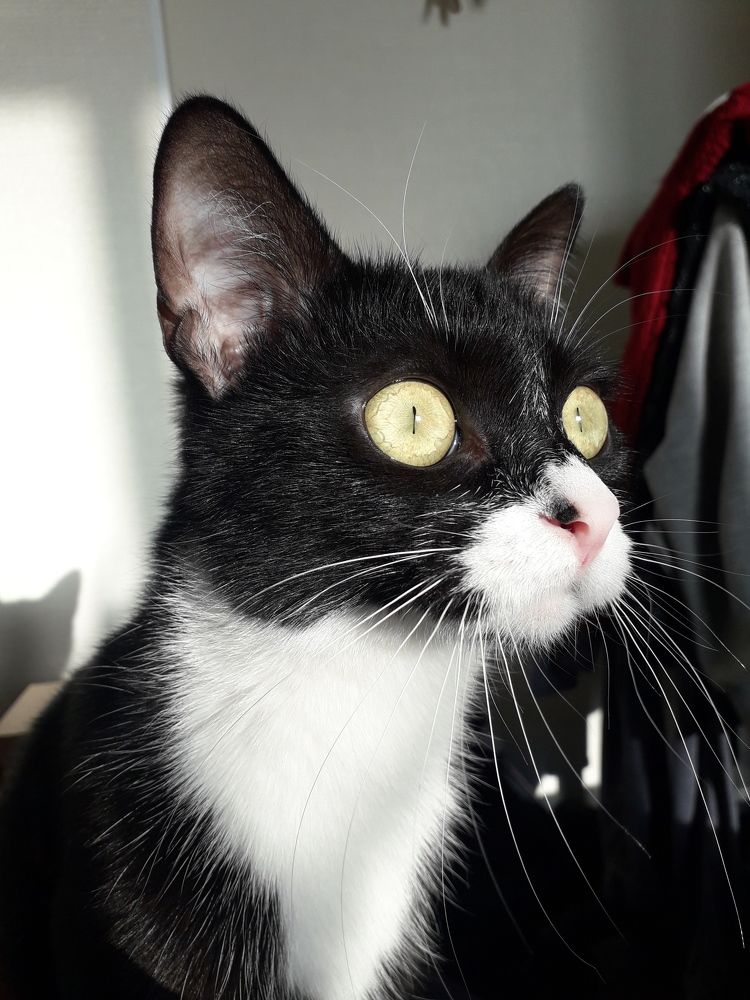 Фотография автора Ольга