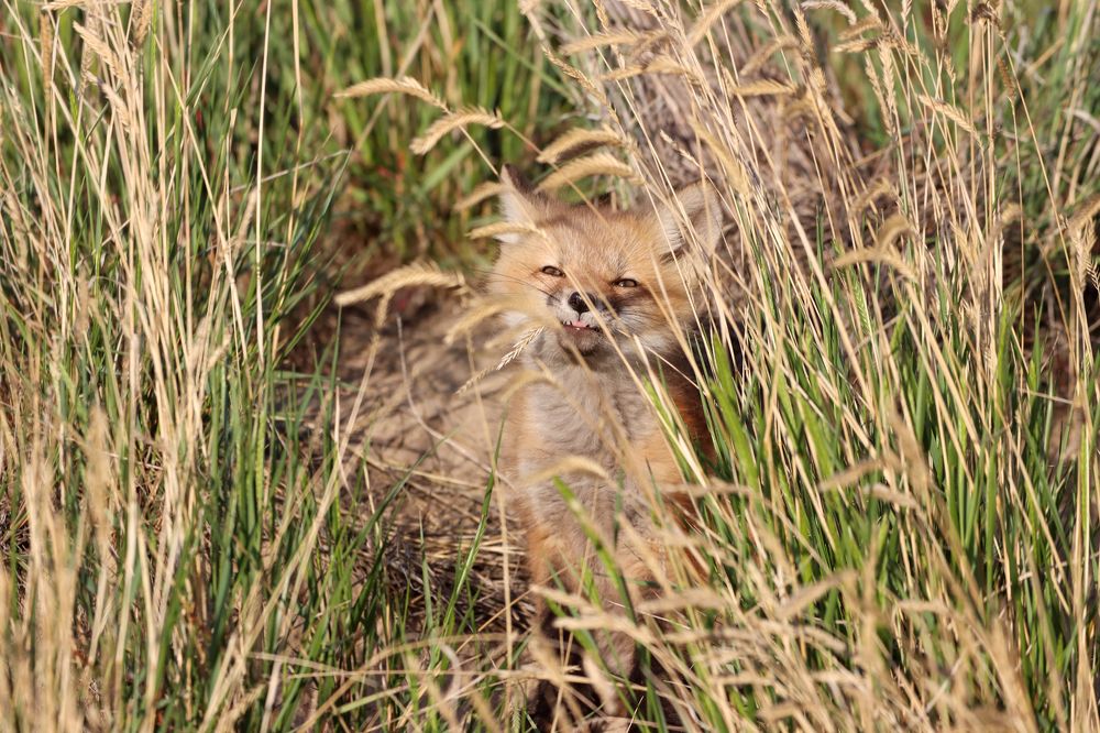 Photograph by Kristy Behnke